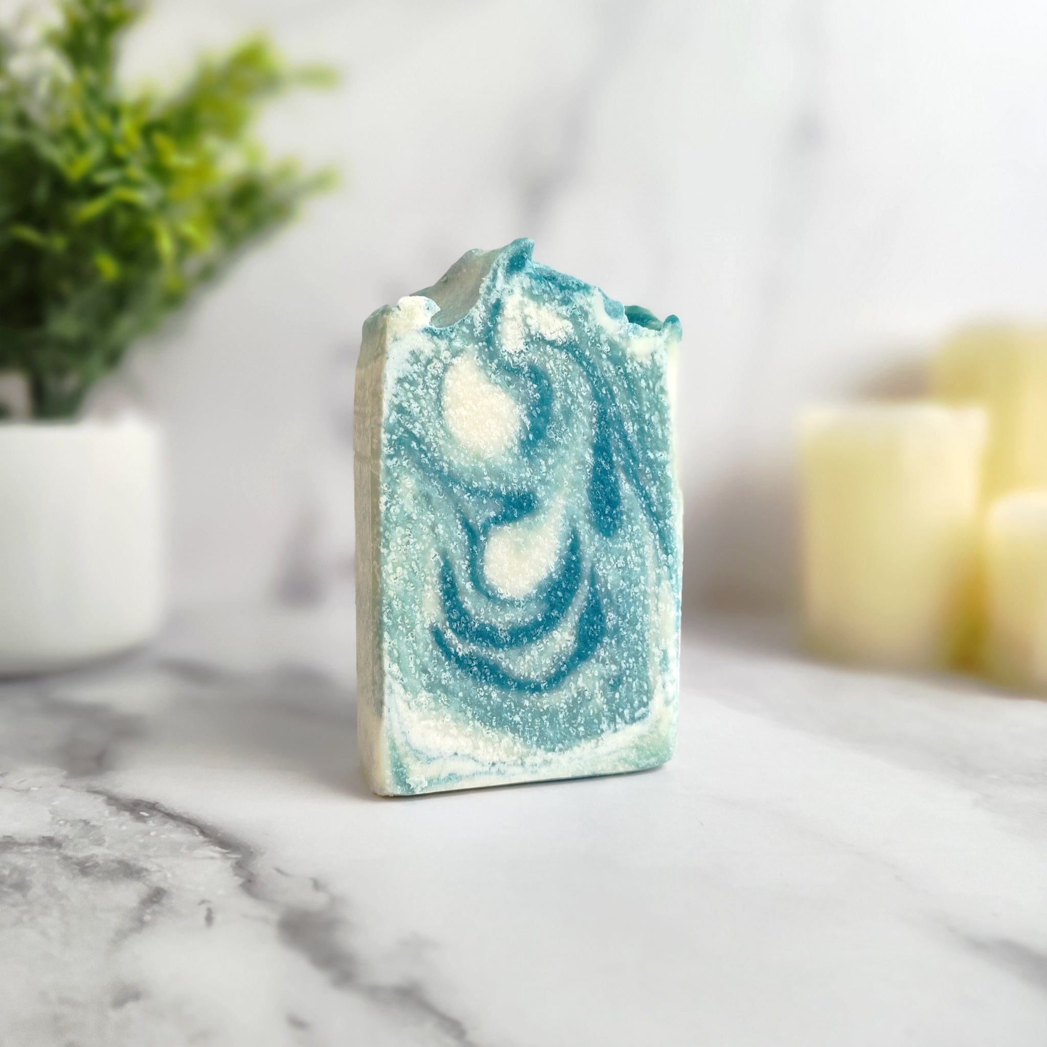 Evergreen Salt Bar